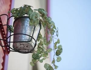 Location appartement courte duree neuchatel